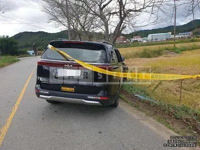 Photo 1 of 15: 2023 Kia Carnivals — Korean insurance auction