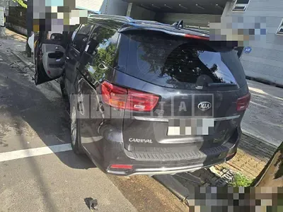 Photo 1 of 14: 2020 Kia Carnivals — Korean insurance auction