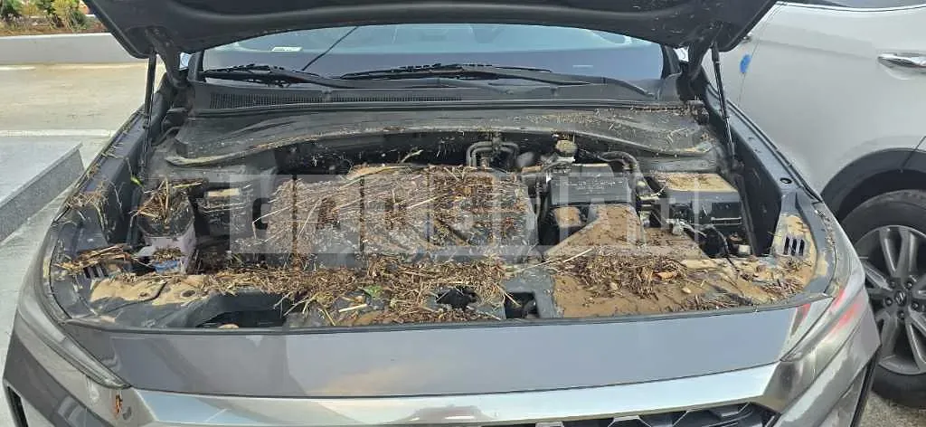 Photo 2 of 8: 2018 Hyundai Santa Fe TM — Korean insurance auction