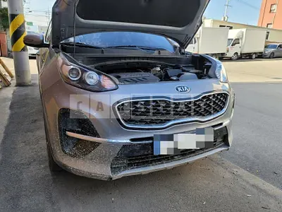 Photo 1 of 14: 2021 Kia Sapsportage — Korean insurance auction