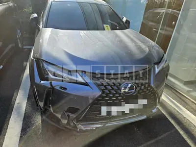 Photo 1 of 19: 2019 Lexus UX250h 2WD — Korean insurance auction