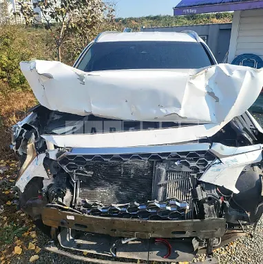 Photo 2 of 38: 2019 Hyundai Santa Fe, VIN KMHS381CDKU015039 — Korean insurance auction