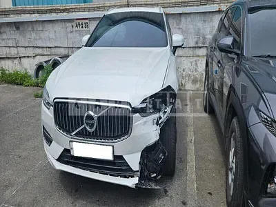 2019 Volvo /XC60D5