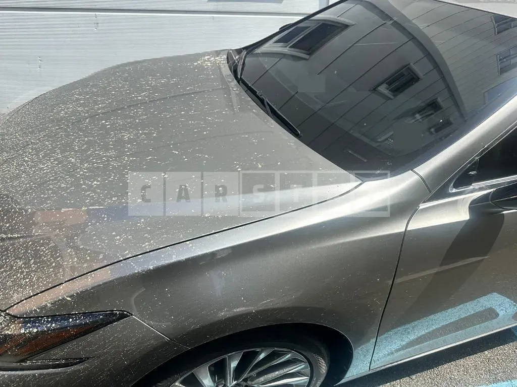 Photo 2 of 29: 2019 Lexus ES300h — Korean insurance auction