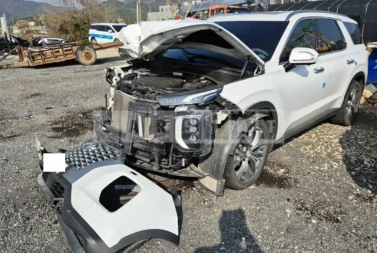Photo 2 of 21: 2019 Hyundai Palisade, VIN KMHR381ABKU000854 — Korean insurance auction