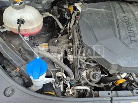 Photo 2 of 11: 2024 Kia Carnival — Korean insurance auction
