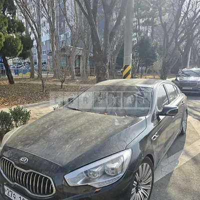 Photo 1 of 7: 2027 Kia Cut A. Z, VIN KNALW413BDS005822 — Korean insurance auction