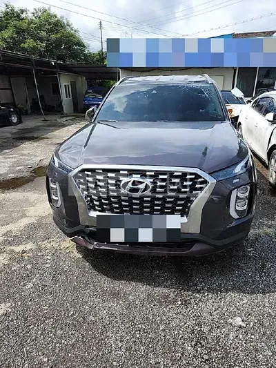 Photo 1 of 25: 2019 Hyundai Palisade 2.2 (4WD), VIN KMHR281ADKU008309 — Korean insurance auction
