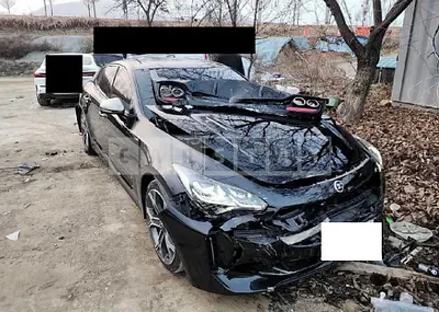 Photo 1 of 11: 2019 Kia Stinger, VIN KNAE351ABKS062346 — Korean insurance auction