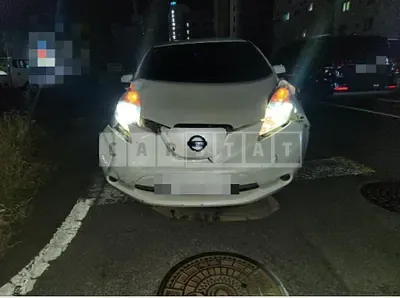 2015 Nissan Leaf