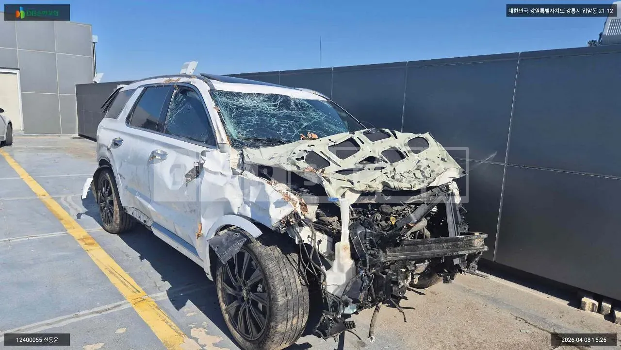 Photo 2 of 14: 2021 Hyundai Palisade, VIN KMHR581EDMU303762 — Korean insurance auction