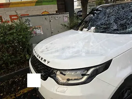 Photo 2 of 17: 2017 Land Rover Discovery SD4 — Korean insurance auction