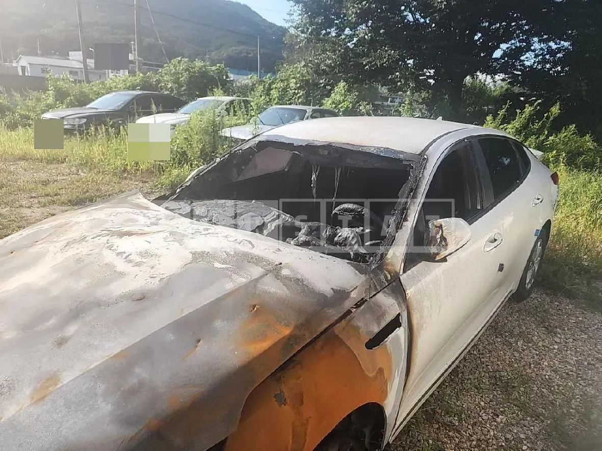 Photo 2 of 13: 2018 Kia K5 LPG — Korean insurance auction