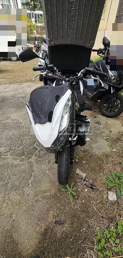 Photo 1 of 10: 2021 Honda (Two-Wheel) WW125A — Korean insurance auction