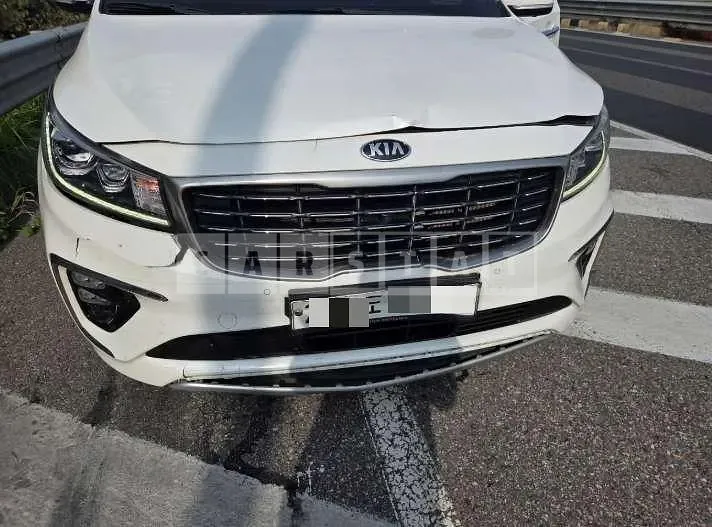 Photo 2 of 5: 2019 Kia Carnivals — Korean insurance auction