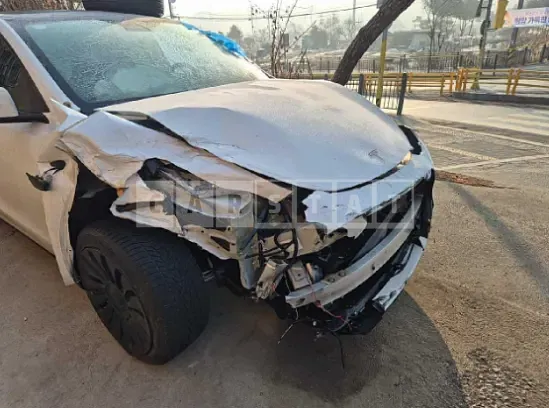 Photo 2 of 14: 2024 Tesla Model Y RWD — Korean insurance auction