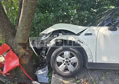 Photo 1 of 7: 2015 MINI Cooper D Five-Door — Korean insurance auction