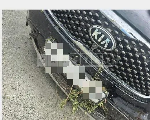 Photo 2 of 20: 2017 Kia Sorento — Korean insurance auction