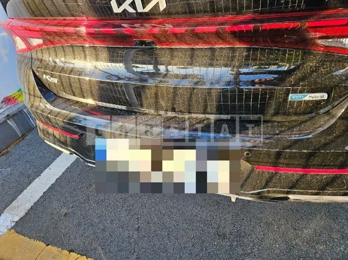 Photo 2 of 55: 2022 Kia K5 2.0 (Hybrid), VIN KNAG541JBNA023770 — Korean insurance auction