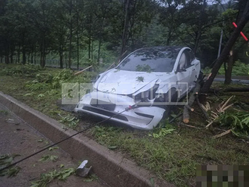 Photo 2 of 13: 2020 Tesla Model 3 Performance — Korean insurance auction