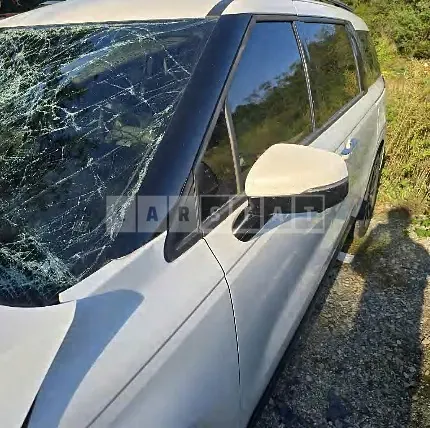 Photo 2 of 19: 2022 Kia Carnivals — Korean insurance auction