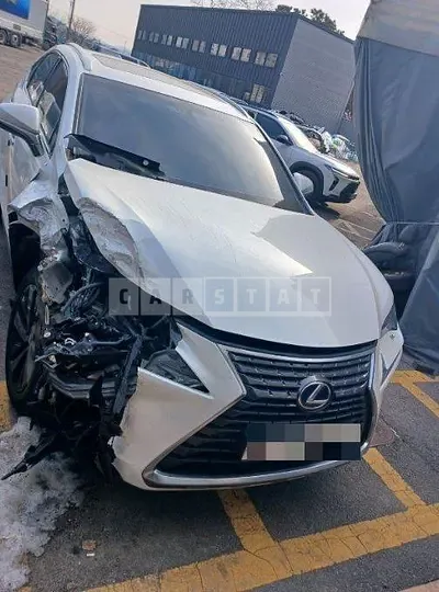 Photo 1 of 16: 2018 Lexus NX300h — Korean insurance auction