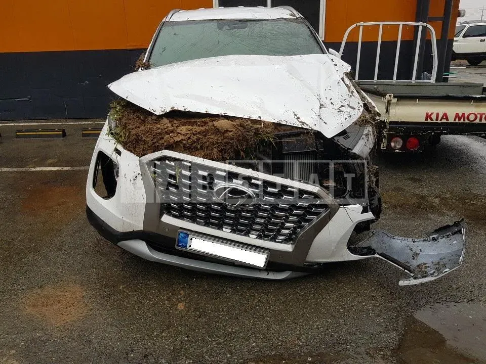 Photo 2 of 17: 2022 Hyundai Palisade, VIN KMHR281ABNU470814 — Korean insurance auction