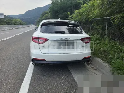 Photo 1 of 10: 2019 Maserati Levante Diesel — Korean insurance auction