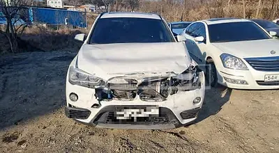 Photo 1 of 17: 2016 BMW X1 xDrive 18d, VIN WBAHT9102G5F18086 — Korean insurance auction