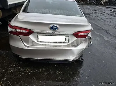 2019 Toyota CAMRY hybrid