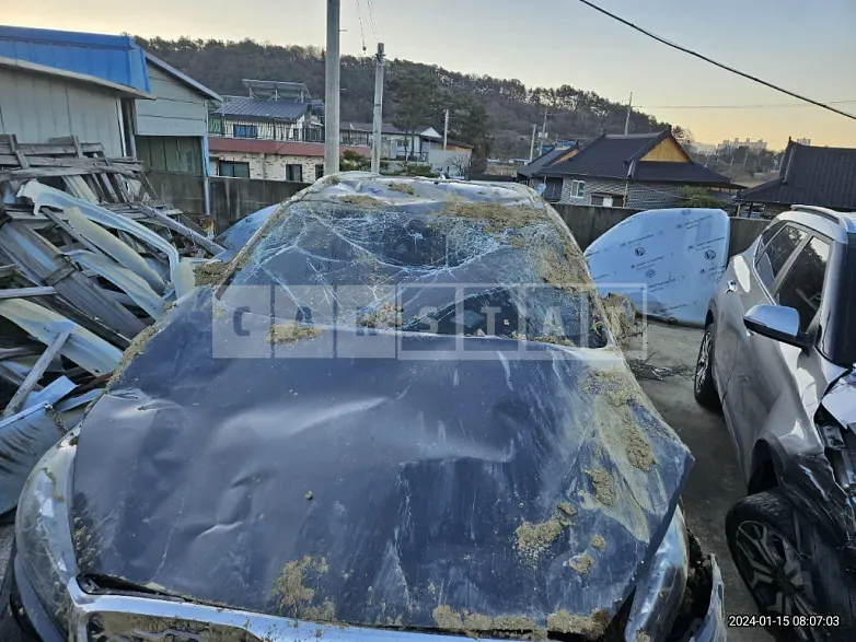 Photo 2 of 5: 2019 Kia Sorento 2.0, VIN KNAPG81ABLA641492 — Korean insurance auction