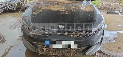 Photo 1 of 10: 2019 Kia K5 — Korean insurance auction