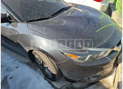 Photo 1 of 11: 2017 Nissan Maxima — Korean insurance auction