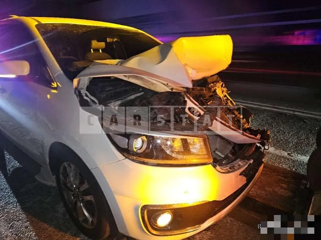 Photo 2 of 8: 2015 Kia Carnivals — Korean insurance auction