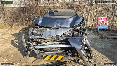 Photo 1 of 13: 2019 Toyota Prius Prime, VIN JTDKARFP3K3119869 — Korean insurance auction