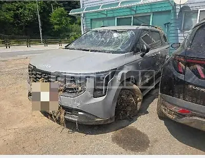 Photo 1 of 19: 2024 Kia Carnival Hybrid — Korean insurance auction