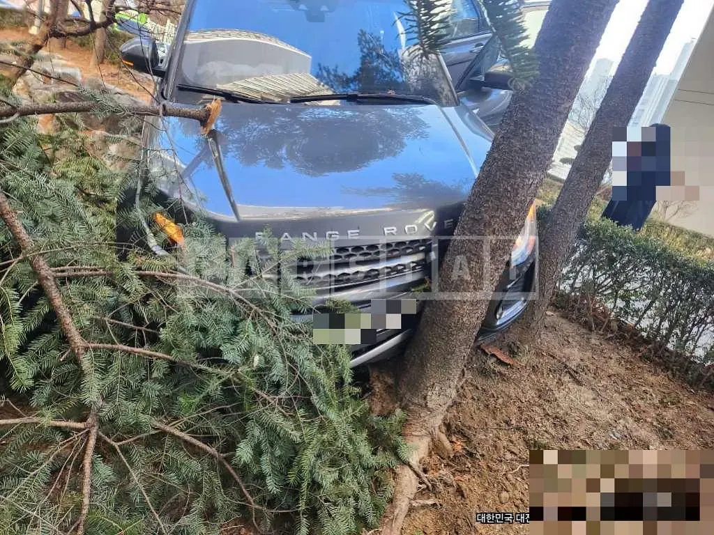 Photo 2 of 12: 2016 Land Rover Range Rover Evoque 2.0d — Korean insurance auction
