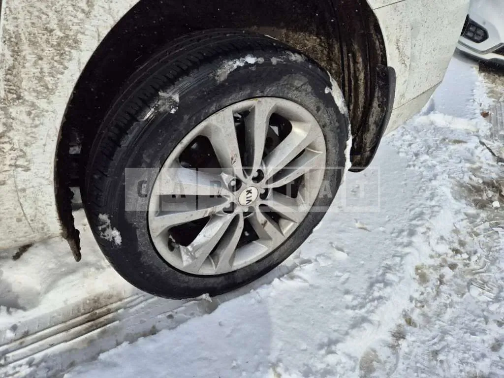 Photo 2 of 12: 2018 Kia Carnival — Korean insurance auction