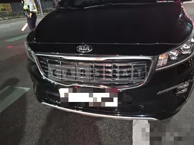 Photo 1 of 15: 2019 Kia Carnivals — Korean insurance auction