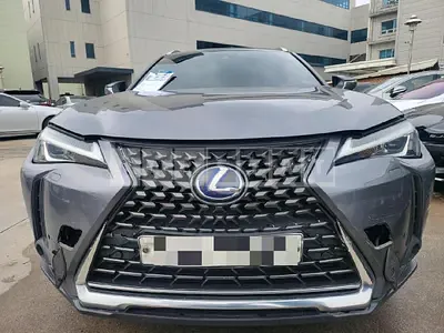 Photo 1 of 41: 2019 Lexus UX250h 2WD, VIN JTHY6JBH1K2001609 — Korean insurance auction