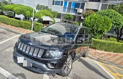 2015 Zip compass