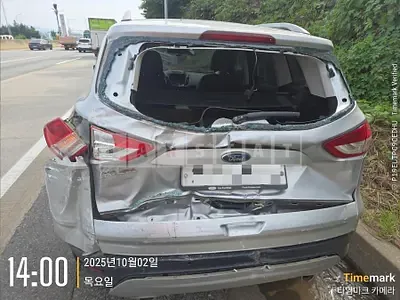 Photo 1 of 2: 2016 Ford Kuga 2.0 AWD — Korean insurance auction