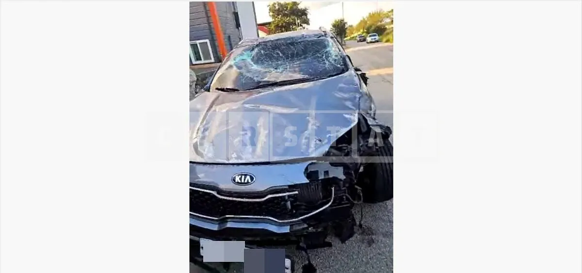 Photo 2 of 59: 2017 Kia Sportage — Korean insurance auction