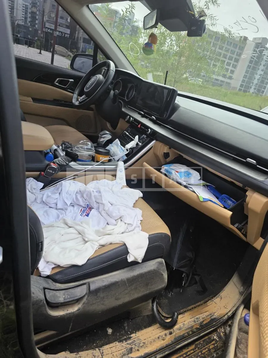 Photo 2 of 13: 2022 Kia Carnival 2.2 — Korean insurance auction