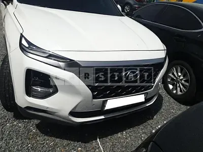 Photo 1 of 29: 2019 Hyundai Santa Fe, VIN KMHS381ABKU176707 — Korean insurance auction