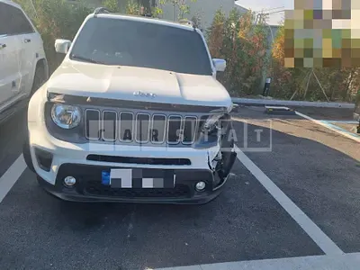 2022 Zip Renegade 1.3 FWD