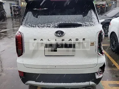 Photo 1 of 17: 2019 Hyundai Palisade 3.8 (4WD) — Korean insurance auction