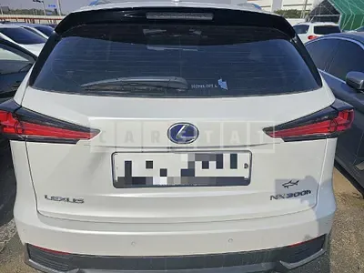Photo 1 of 12: 2019 Lexus NX300h, VIN JTJBJRBZXK2121905 — Korean insurance auction