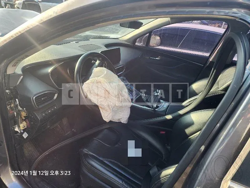 Photo 2 of 66: 2020 Hyundai Santa Fe TM 2.2, VIN KMHS281HGMU323267 — Korean insurance auction
