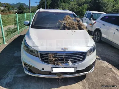 Photo 1 of 8: 2018 Kia Carnival, VIN KNAMD81ABJS351892 — Korean insurance auction